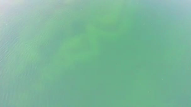 항공 드론 이 여름에 숲 속의 큰 호수의 일몰이나 일출을 공중에서 보며 맑은 물, 모래사장, 나무들을 보여준다. — 비디오