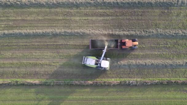 Latem w gospodarstwie rolnym po zbiorach pszenicy prasa do ciągników wytwarza bele słomy na polu — Wideo stockowe