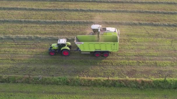 Malle, Belgien, 18-09-2021, antenn av traktorbalar som gör halmbalar i fält efter veteskörd på gården under sommaren — Stockvideo