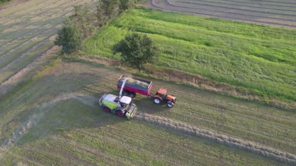 Malle, Belgie, 18-09-2021, Aerial of tractor baler making straw bales in field after wheat harvestvest in summer on farm — Stock video