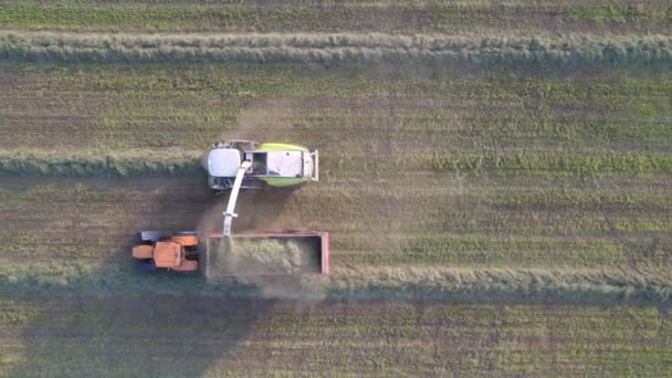 Luchtfoto van trekkerpersen die strobalen maken in het veld na de tarweoogst in de zomer op het landbouwbedrijf — Stockvideo