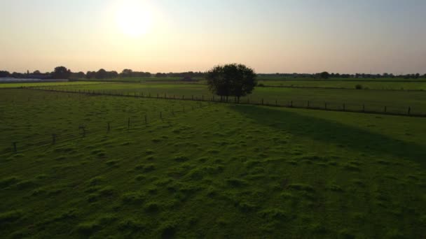 Campo dramático e colorido voo do pôr do sol sobre um lago da floresta, tiro aéreo em um drone — Vídeo de Stock