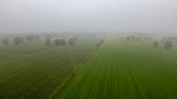 Vista aérea de uma paisagem rural durante o nascer do sol na Bélgica. Fazenda rural, campos de milho, campos verdes, luz solar e nevoeiro. Bélgica, Europa. — Fotografia de Stock