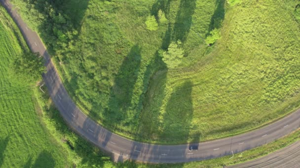 Hava - Dönen araba, selvi ağacı çizgili yol — Stok video