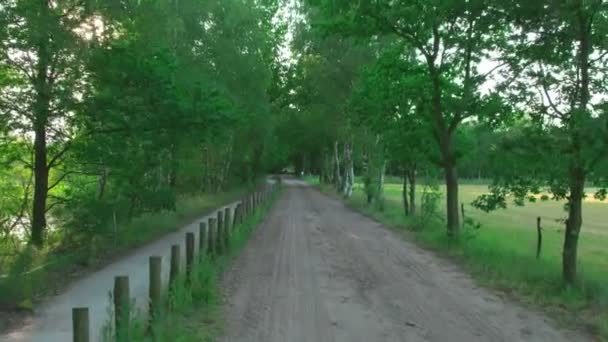 Punto di vista. Camminando attraverso la foresta, tiro costante. Piedi al rallentatore. — Video Stock