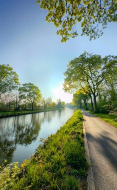 Sakin ve sakin bir nehir kenarı manzarası etrafını çevreleyen kıvrımlı ağaçları mükemmel bir şekilde yakalıyor.
