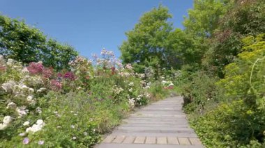 Gelin ve canlı çiçekler ve yemyeşil çiçeklerle bezenmiş güzel bir bahçe yolunu keşfedin.