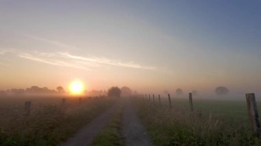Güzel bir gün doğumunun nefes kesici manzarası, yumuşak, yumuşak bir ışık yayıyor sakin, sisli bir arazide.