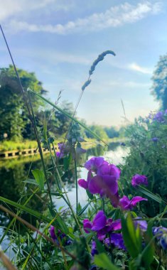 A stunningly tranquil riverbank scene is beautifully adorned with colorful wildflowers, ideal for nature lovers