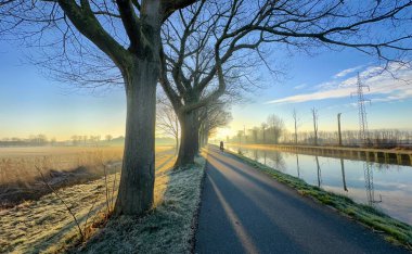 Ağaçlarla ve buzlu otlarla kaplı huzurlu bir patika. Kış sabahlarının huzurlu güzelliğini yansıtıyor..