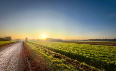 A breathtaking and serene view of a colorful sunrise illuminating lush green fields along a quiet rural road