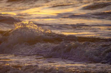 Gün batımında muhteşem altın renkleri yansıtan engin okyanus dalgalarının nefes kesici ve çarpıcı görüntüsü.