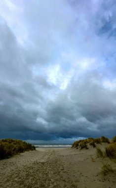 Huzurlu ve sakin bir sahil sahnesi, güzel kum tepelerini karamsar, bulutlu gökyüzünün yanında sergiliyor.