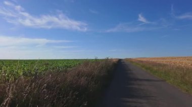 Bergnicourt, Rethel, Ardennes, Grand-Est, Fransa, 28 Ağustos 2025, yemyeşil tarlalarla çevrili, doğa aşıkları ve seyahat meraklıları için mükemmel bir yol manzarası..