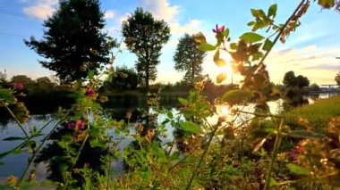 Akşam göleti dinginliği, sakin gölet sahnesinde altın parıltı, sakin günbatımı yansımaları huzur dolu göl kenarlarını güzelleştiriyor.