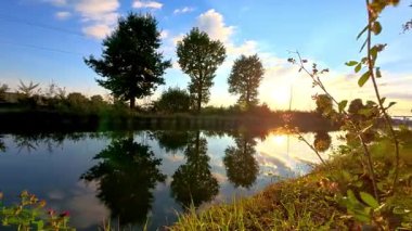 Sakin bir akşam manzarası, parıldayan yansımalarla sakin bir akşam ve sakin kıyı şeridi boyunca ışıl ışıl parlayan bitkiler.