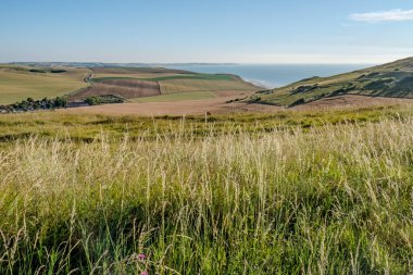 Cap Blanc-Nez, Escalles, Pas-de-Calais, Hauts-de-France, Fransa, 29 Temmuz 2025, Berrak ve canlı bir mavi gökyüzünün altında yuvarlanan alanların engin okyanusla buluşmasının nefes kesici görüntüsü.