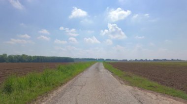 Açık arazide güneşli kırsal yol, kırık asfalt, dağılmış ağaçların altındaki uzak çizgiye doğru uzanıyor.