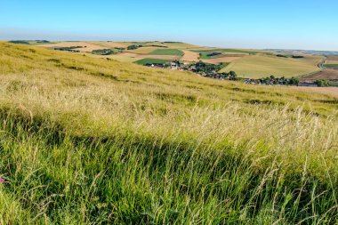 Cap Blanc-Nez, Escalles, Pas-de-Calais, Hauts-de-France, Fransa, 29 Temmuz 2025 altın çayır manzarası ve yemyeşil tepeler parlak güneşli bir günde