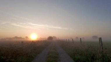 Güneşin sisli kır yolunda doğuşu, yumuşak altın ışıklı siluetler çit direkleri ve çiğ taneleri, dar toprak yol.