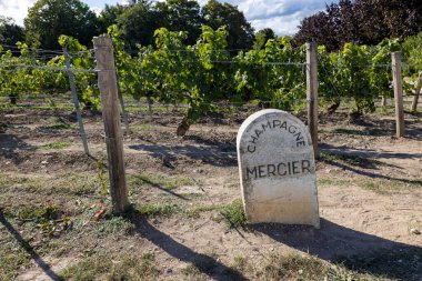 LAvenue de Champagne, Epernay, Marne, Grand-Est, Fransa, 28 Ağustos 2025, Champagne Area, Geleneği vurgulayan bölgesel mülk tabelası, Taş levha geleneği ve bölgesel karakterin altını çiziyor