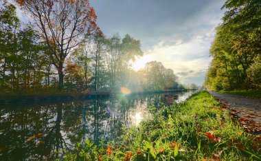 Nehir kenarındaki çimenli kıyıda gün doğumu ışığı. Suyun, ön plandaki kır çiçeklerinin ve çiy tanelerinin üzerinde güneş ışığı yansıması. Sabahın erken saatlerinde huzur içinde.