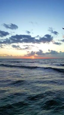 Sakin bir deniz sabahı, yumuşak dalgalar ve gökyüzü, gündoğumunda sakin bir sahil, yansıtıcı ıslak kum ve uçan uçakla.