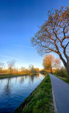 Huzurlu ve sakin bir nehir kenarı yolu, güzel çizilmiş canlı ağaçlarla, doğanın harikalarını gözler önüne seriyor.