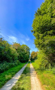 Güneşli kırsal patika yapraklı ağaçların arasında gölgeli gölgeler, çakıllı yüzey ve kırsal alana giden dolambaçlı şerit, anımsatıcı.