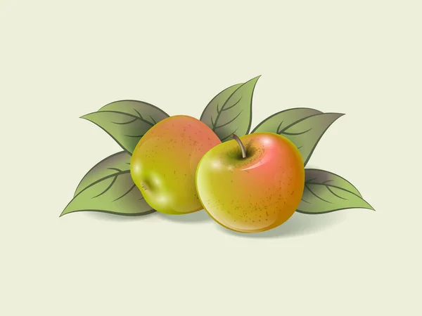 Dos Manzanas Maduras Sobre Fondo Claro Frutas Maduras Hojas Ilustración — Vector de stock