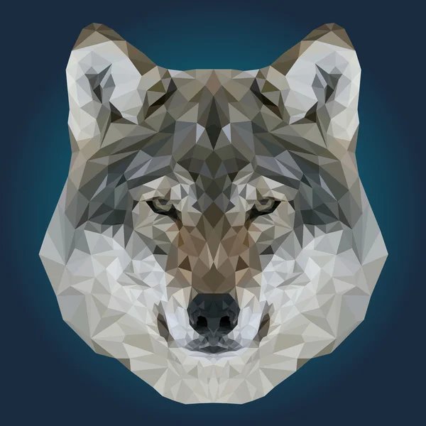 Αφηρημένη χαμηλή πολυ λύκος σχέδιο — Διανυσματικό Αρχείο