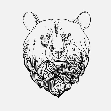 İnce vintage çizgi ayı