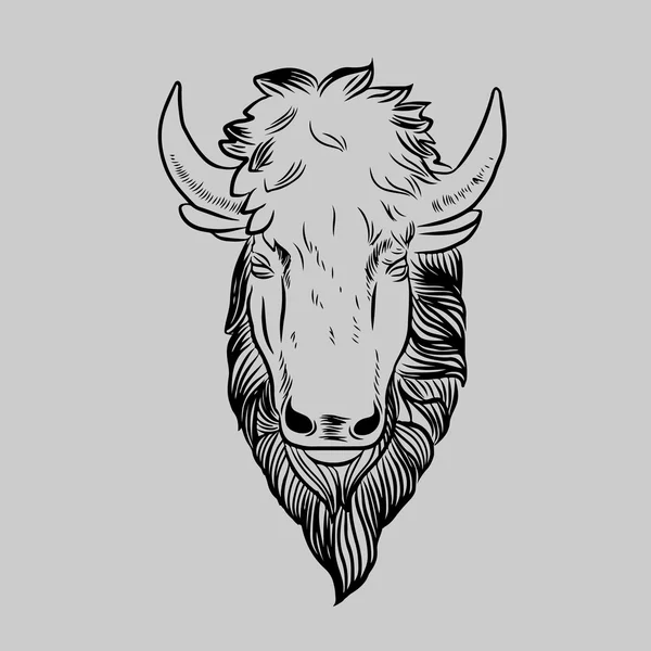 Bison maskot hlava — Stockový vektor