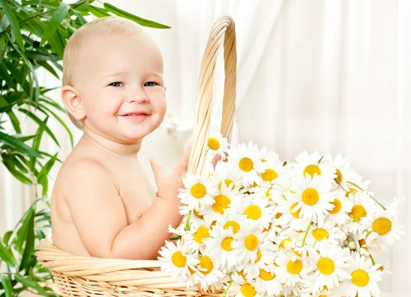 Divertido bebé en una cesta de mimbre —  Fotos de Stock