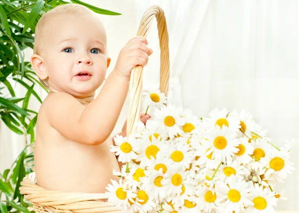 Bebê engraçado em uma cesta de vime — Fotografia de Stock