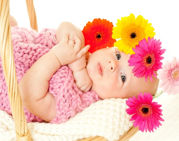 Baby girl in the basket — Stock Photo, Image