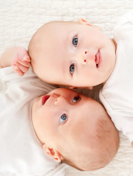 Két gyönyörű baba — Stock Fotó