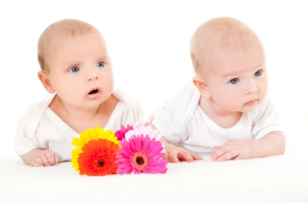 Dos hermosos bebés — Foto de Stock