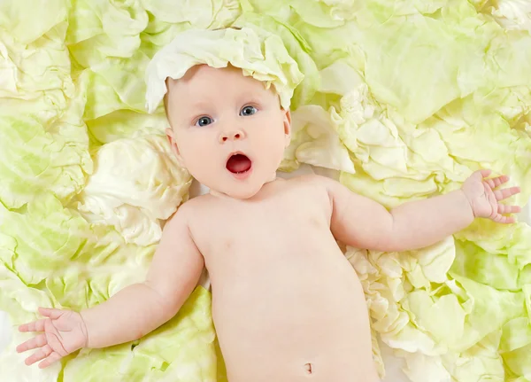 Menina bebê em repolho — Fotografia de Stock