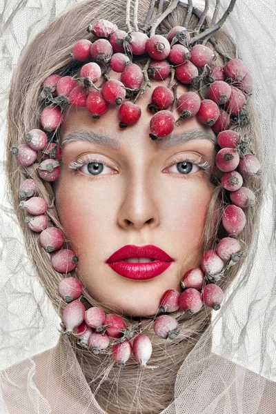 Piękna Twarz Kobiety Profesjonalnym Makijażem Mroźne Piękno Zimy Zamknij Portret — Zdjęcie stockowe