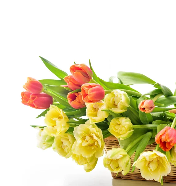 Frühling Tulpenblumen Tulpenstrauß — Stockfoto