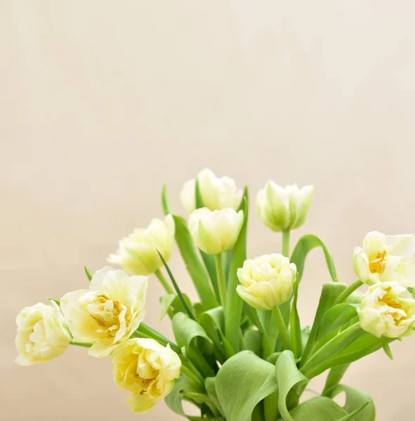 Spring Tulip Flowers Sekelompok Tulip — Stok Foto