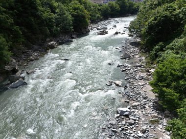 A river with a lot of rocks and trees. The water is very clear and the rocks are scattered throughout the river