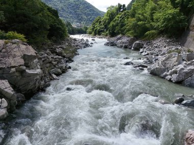 A river with a lot of rocks and trees. The water is very clear and the rocks are scattered throughout the river