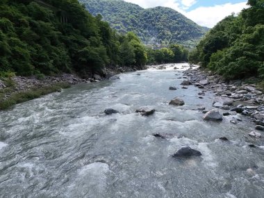 İçinde bir sürü taş olan bir nehir. Su temiz ve kayalar nehrin dört bir yanına dağılmış.