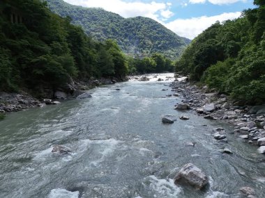 A river with a lot of rocks and trees in the background. The water is flowing and the rocks are scattered throughout the river