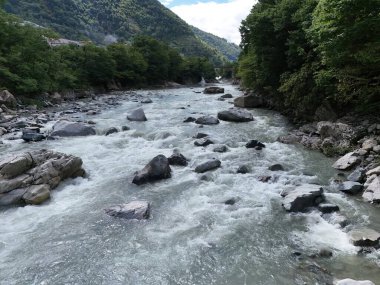 İçinde bir sürü taş olan bir nehir. Su temiz ve kayalar nehrin dört bir yanına dağılmış.