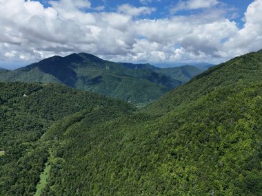 Arkasında dağ sıraları olan yemyeşil bir orman. Ağaçlar uzun ve yoğundur, derinlik ve sükunet duygusu yaratırlar. Gökyüzü açık ve mavi