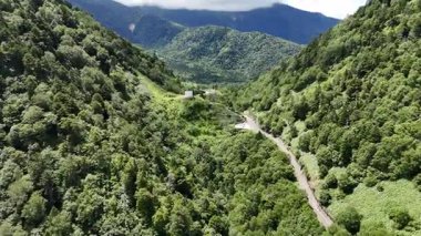 Dönek yol ve vadiyi çevreleyen yemyeşil dağlar