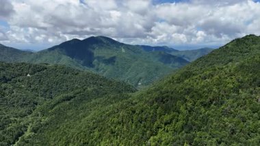 Bulutların altında yemyeşil dağlar